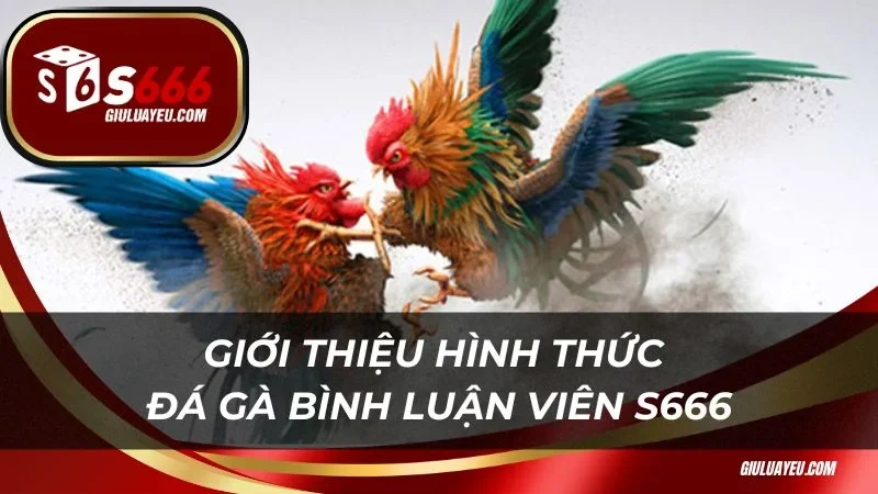 Đá gà bình luận viên S666 Giới thiệu hình thức đá gà bình luận viên S666