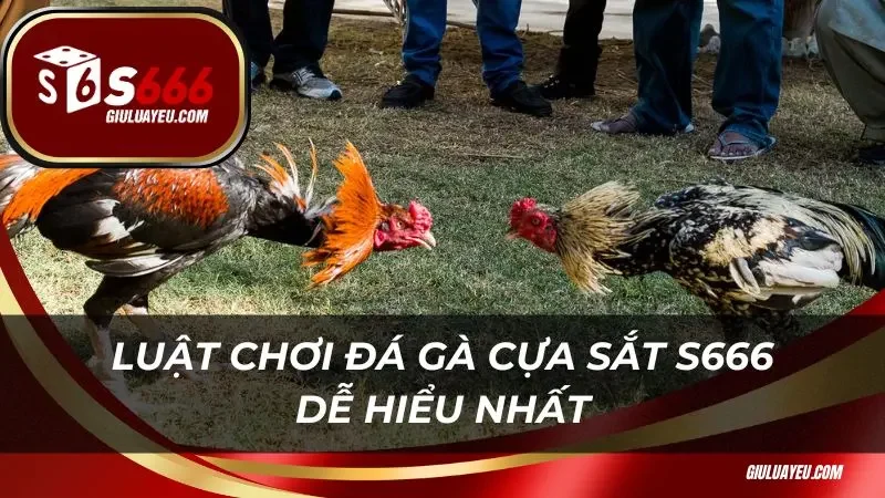 Đá gà cựa sắt S666 Luật chơi đá gà cựa sắt S666 dễ hiểu nhất